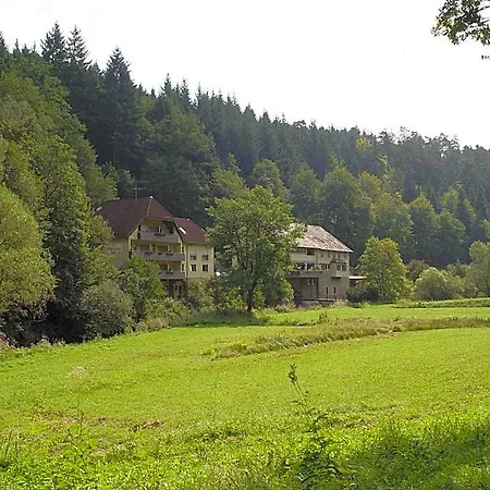 Business Class Haeckermuehle Hotell Tiefenbronn