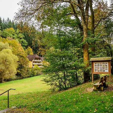 호텔 Business Class Haeckermuehle 티펜브론