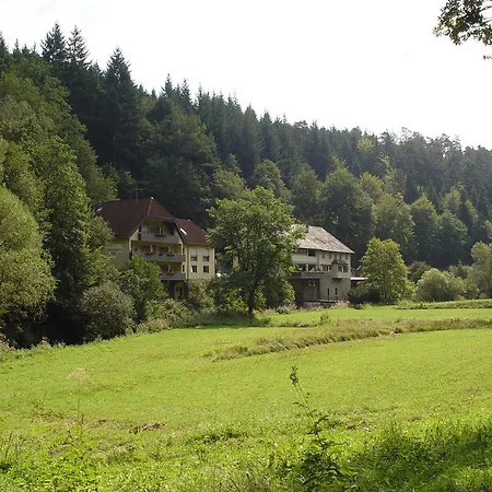 Business Class Haeckermuehle 3* Tiefenbronn