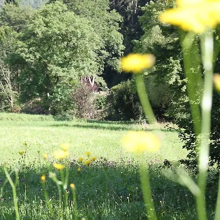 Business Class Haeckermuehle 티펜브론