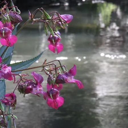 호텔 Business Class Haeckermuehle 티펜브론