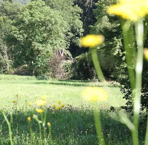 Business Class Häckermühle Tiefenbronn