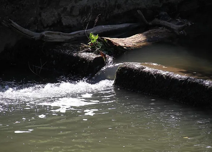 Business Class Häckermühle